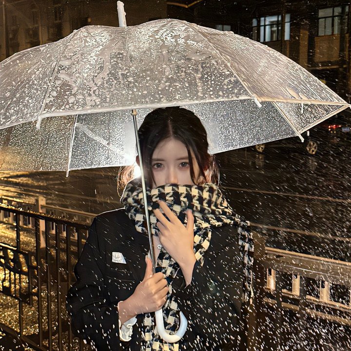 我的野蛮女友2:蛮风再现